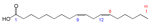 ω-6脂肪酸：亚油酸