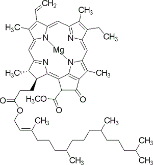 叶绿素a分子结构式