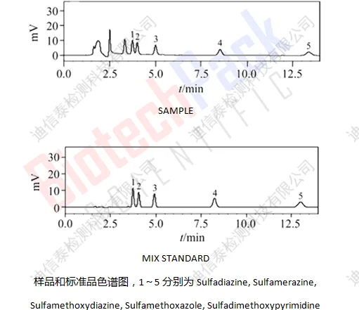 样品和标准品色谱图