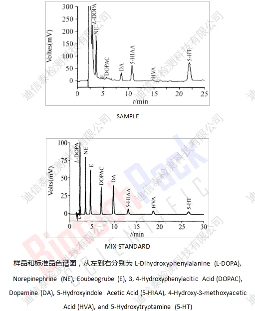 样品和标准品色谱图