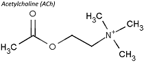 乙酰胆碱分子结构式