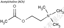 乙酰胆碱分子结构式