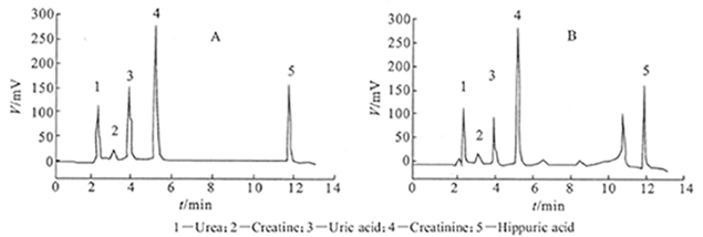 标准品和尿样中氮代谢物的液相色谱图