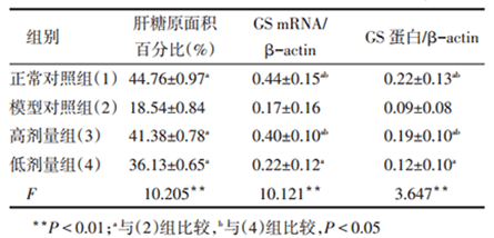 小鼠肝糖原含量、GS-mRNA和GS蛋白的比较结果