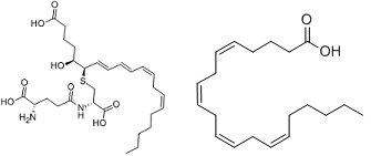 白三烯和花生四烯酸分子结构式