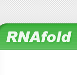 RNAfold