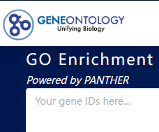 GO(gene ontology)