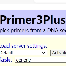 Primer3 Plus