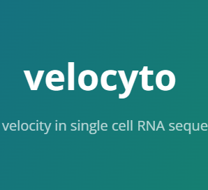 Velocyto