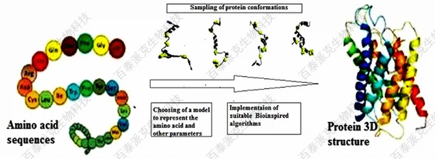 1911681441933635584-Rough-demonstration-of-method-of-3D-structure-prediction-of-protein.png