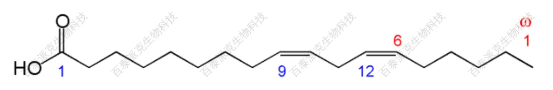 ω-6脂肪酸:亚油酸