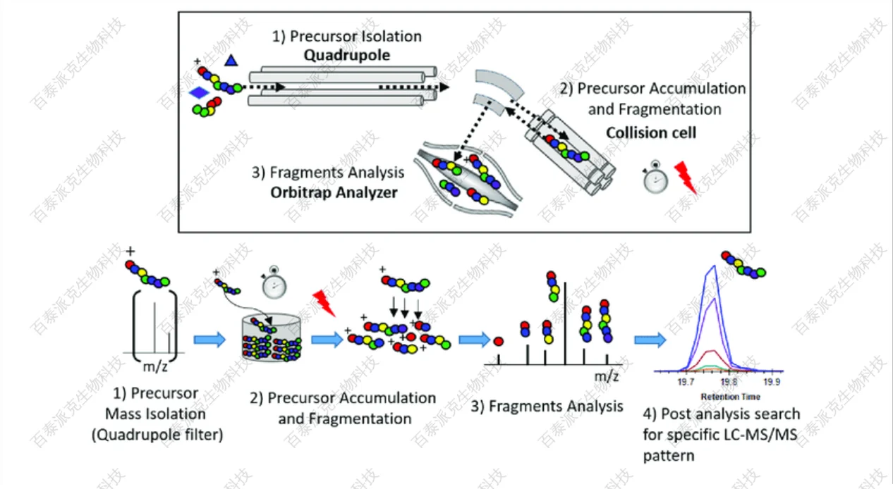 Principle-of-the-parallel-reaction-monitoring-PRM-experiment.png