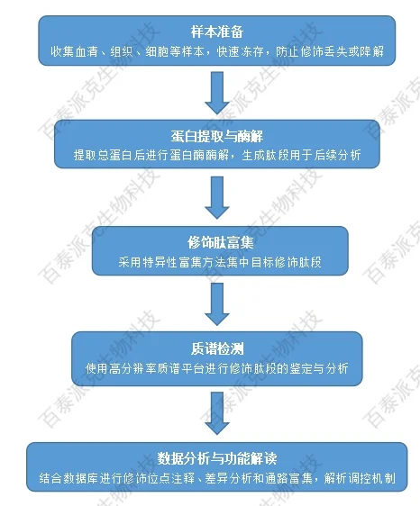 comprehensive-analysis-of-post-translational-modifications-3