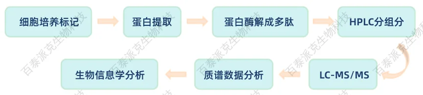 Label Free分析流程 1979022502888288256-Label-free分析流程示意图.png