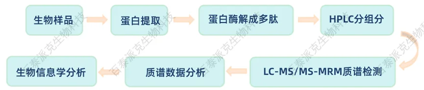 MRM分析流程示意图 1979022543774363648-MRM分析流程示意图.png