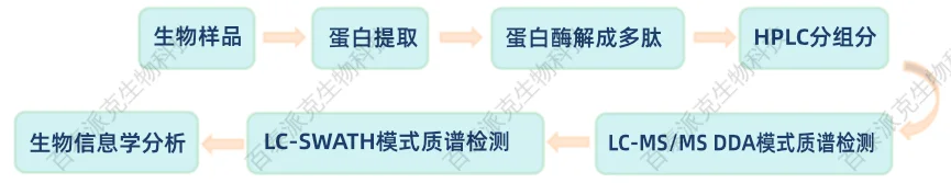 SWATH分析流程示意图 1979022554587279360-SWATH分析流程示意图.png