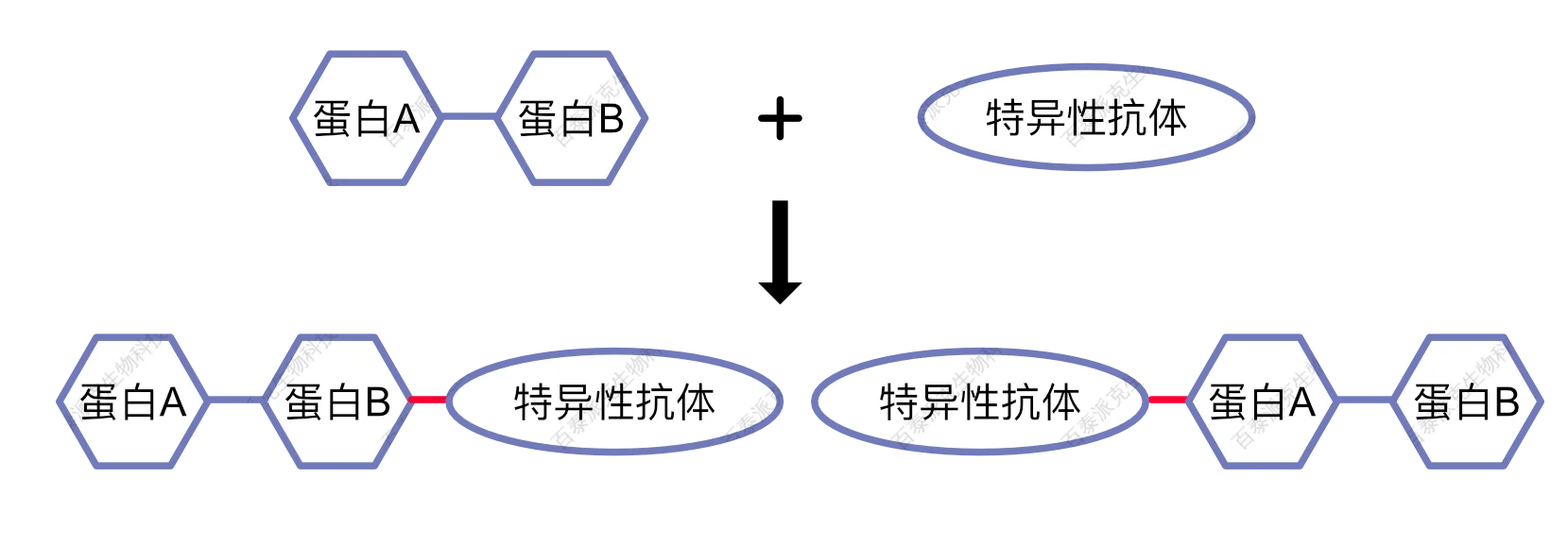 1979022975280164864-mceclip0.png