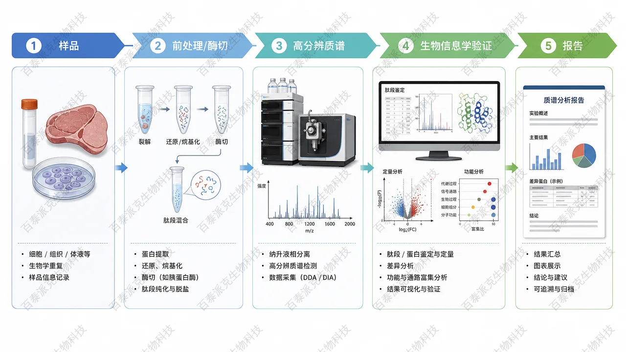 d3d5f0e0f0024b058d0ef52d9b15026b-05-service-delivery-chain.png