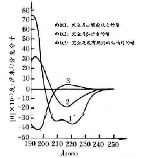 蛋白圆二色谱曲线分析