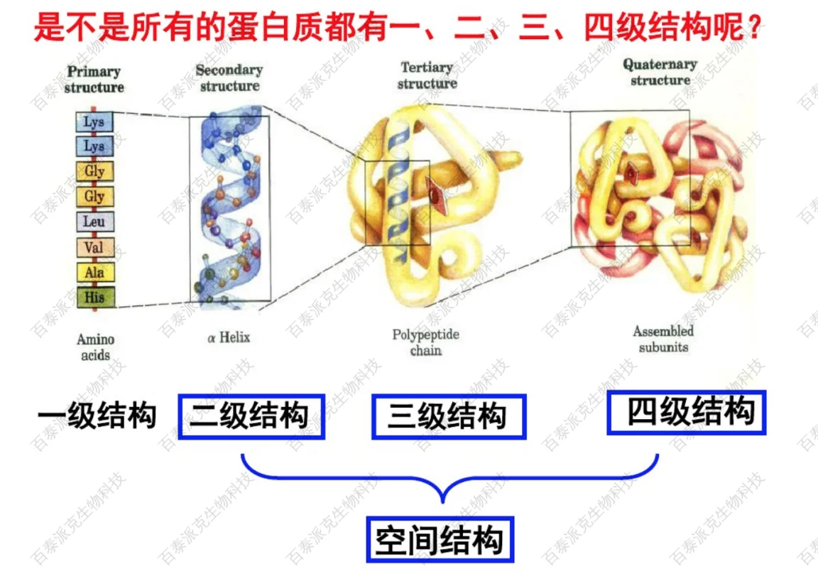 1770704415331815424-wordmediaimage1.png
