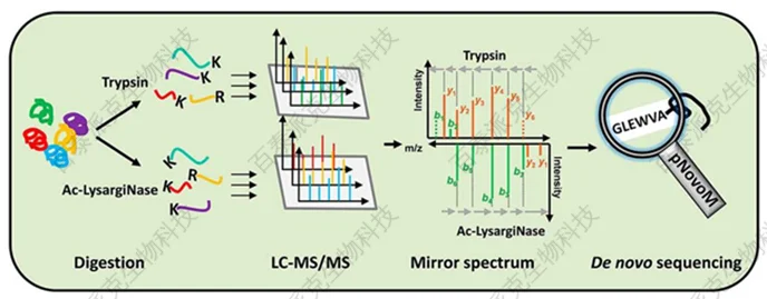 1793916520629374976-Peptide-and-Protein-De-Novo-Sequencing-1.png