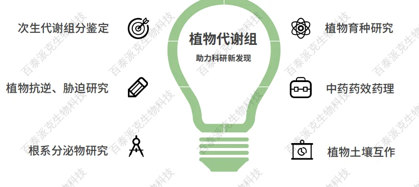 1838519795835326464-image.png