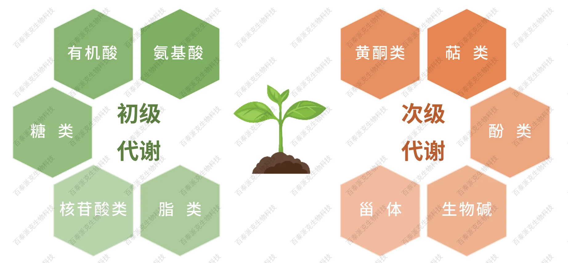 1838762323675303936-image.png