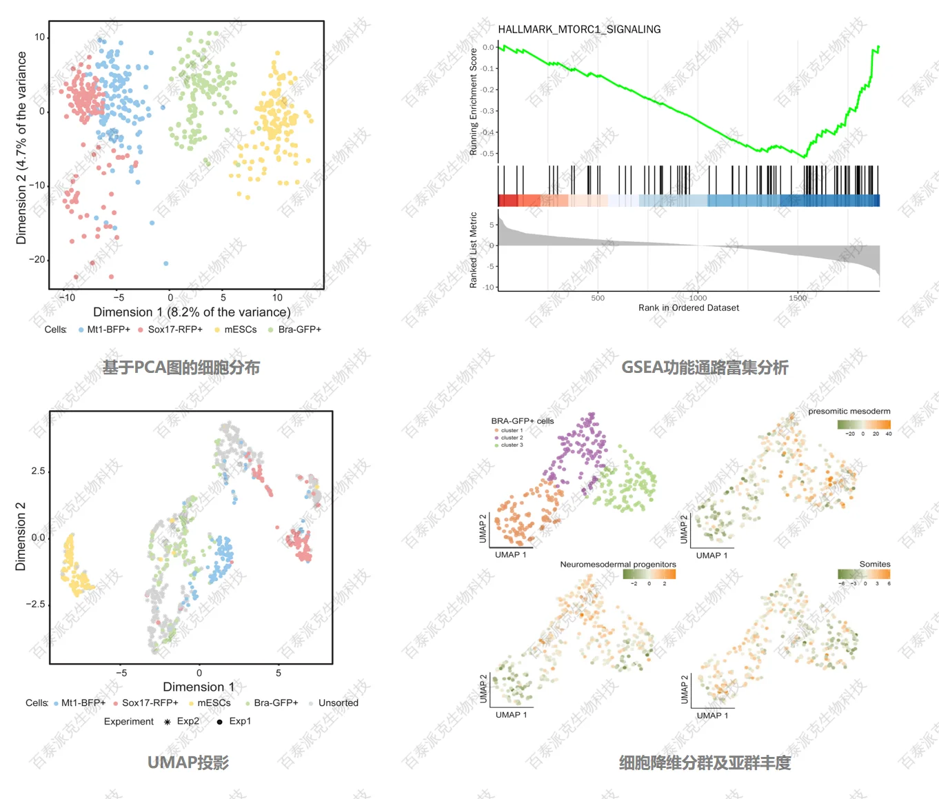 1855813681897132032-单细胞蛋白质组学分析5.png