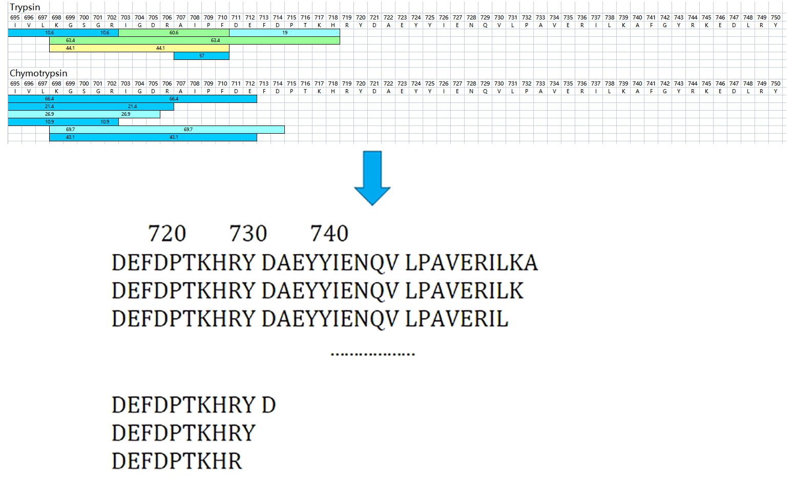 1925439037209432064-recombinant-collagen-analysis-service2.png