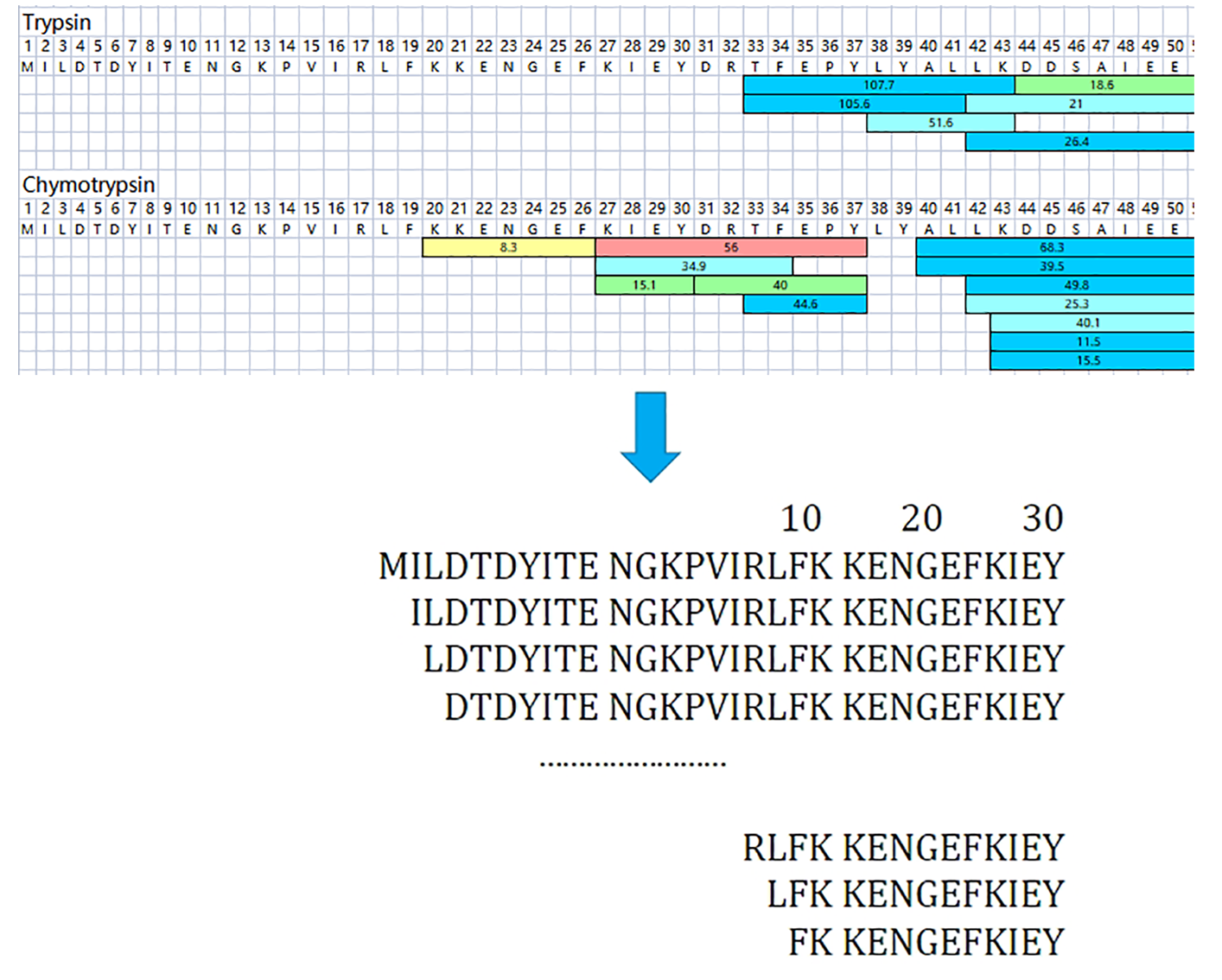 1925439230885613568-recombinant-collagen-analysis-service3.png