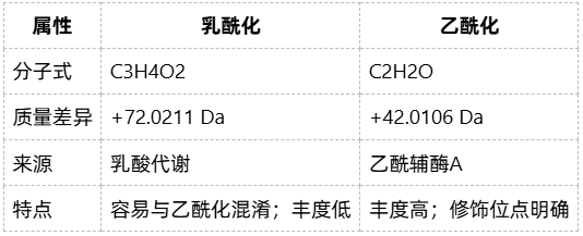 protein-lactylation-modification-analysis-zh13 protein-lactylation-modification-analysis-zh13