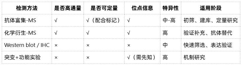 protein-lactylation-modification-analysis-zh16 protein-lactylation-modification-analysis-zh16