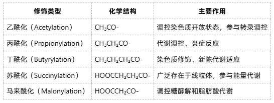 acylation-proteomics-zh3 acylation-proteomics-zh3