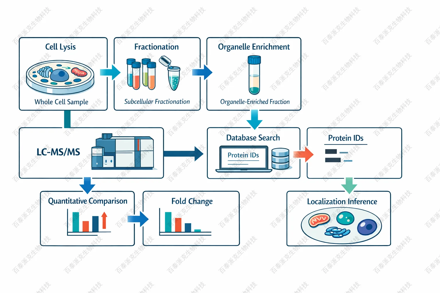 subcellular-proteomics-zh21-2