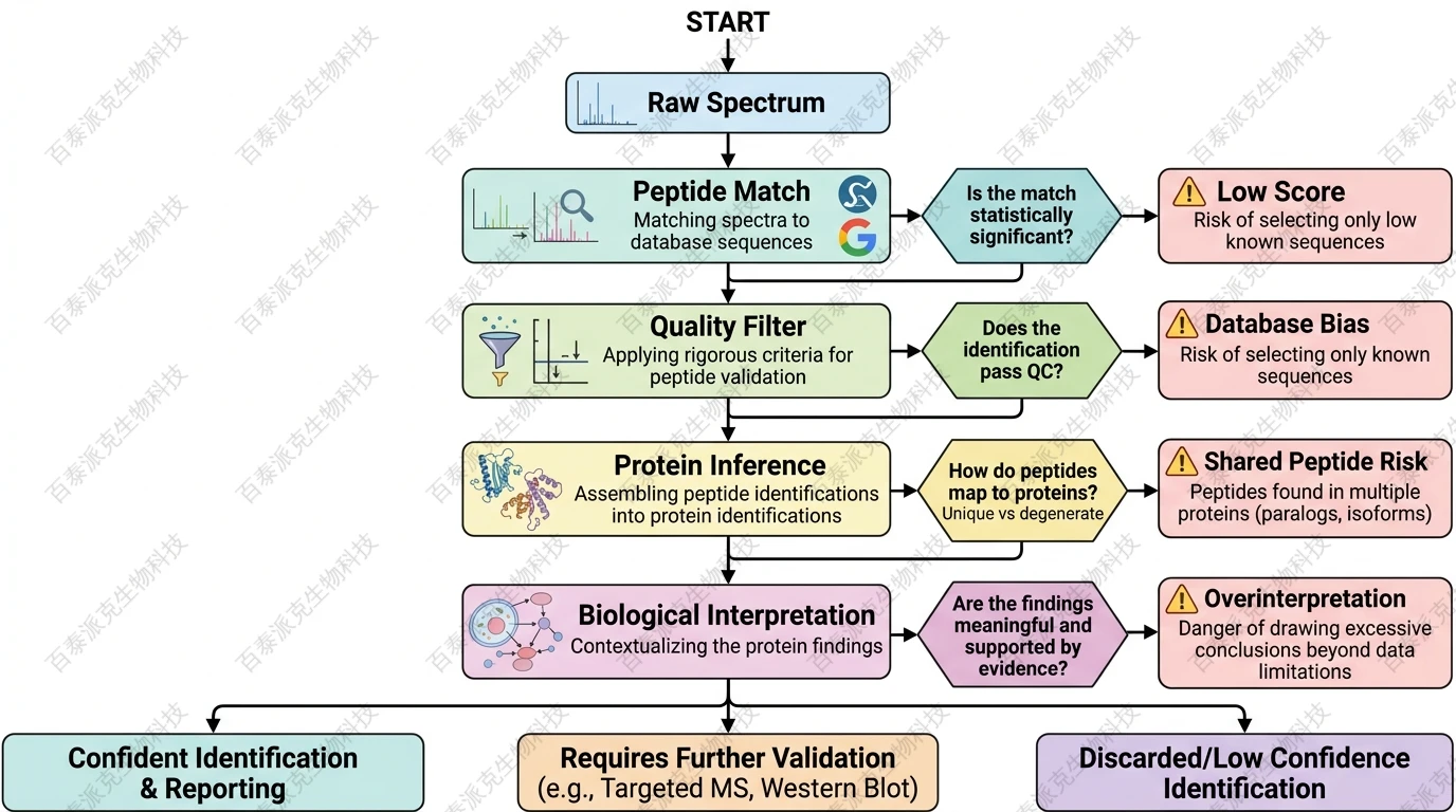 Decision framework for interpreting tandem MS identification results with English labels