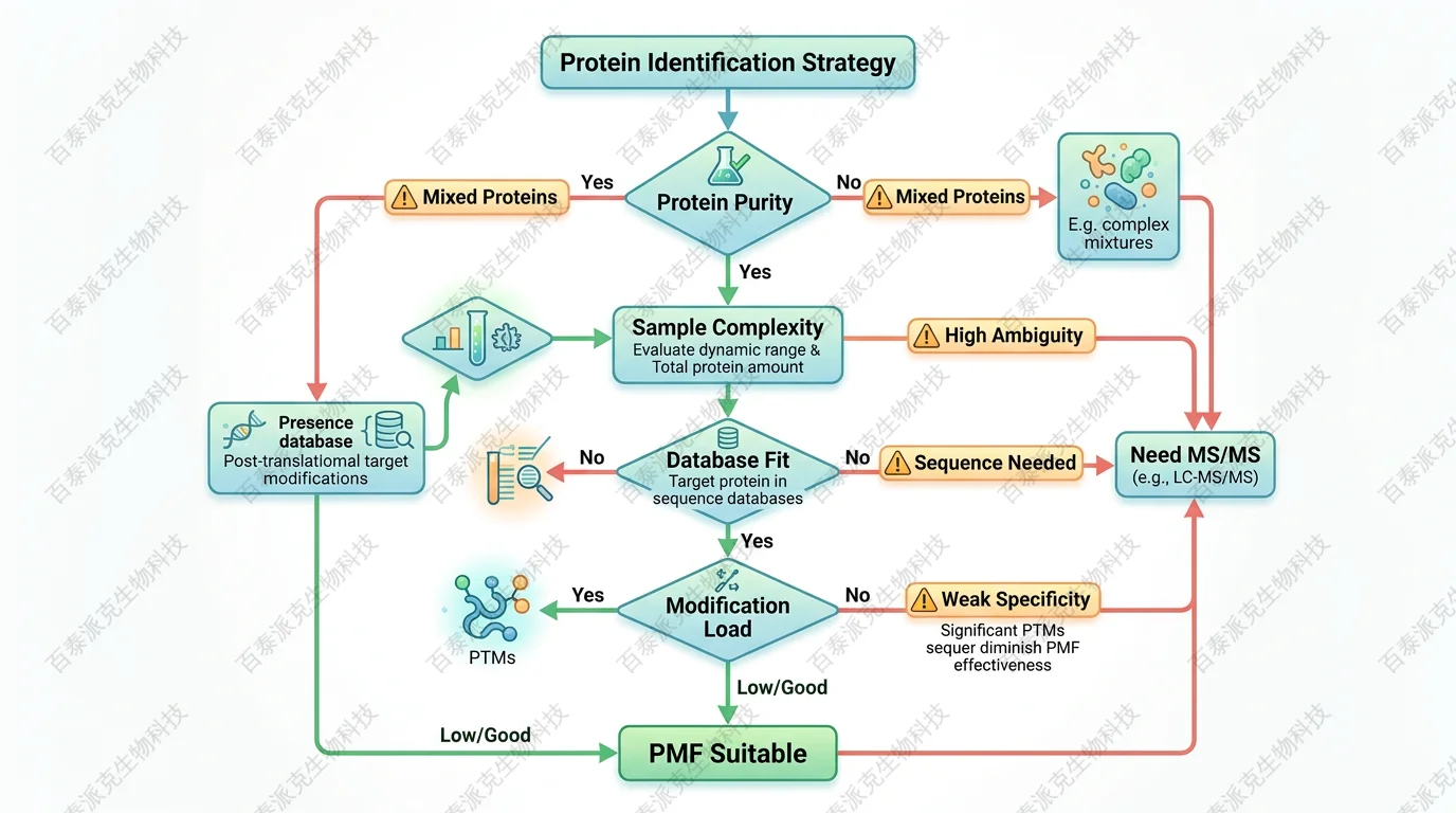 Decision framework for when PMF is suitable or insufficient with English labels