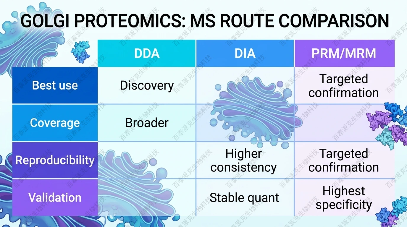Comparison of DDA, DIA, and PRM MRM routes for Golgi proteomics with English labels