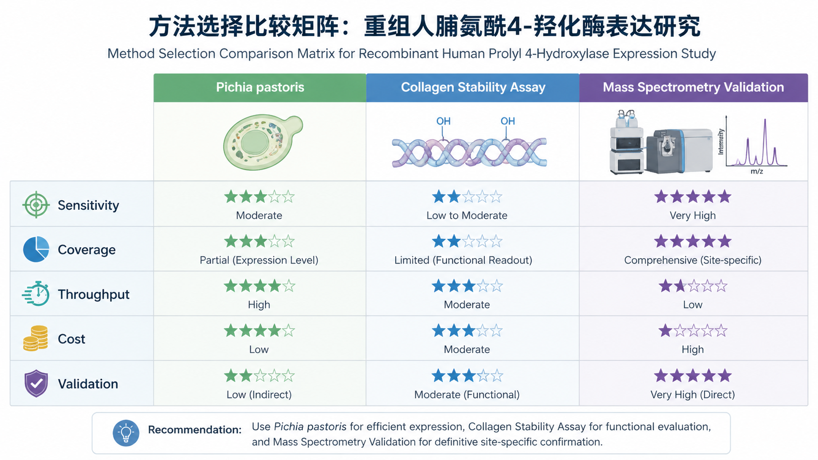 Comparison matrix for method selection in 重组人脯氨酰4-羟化酶表达研究：Pichia pastoris、胶原稳定性与质谱验证 with English labels: Sensitivity, Coverage, Throughput, Cost, Validation