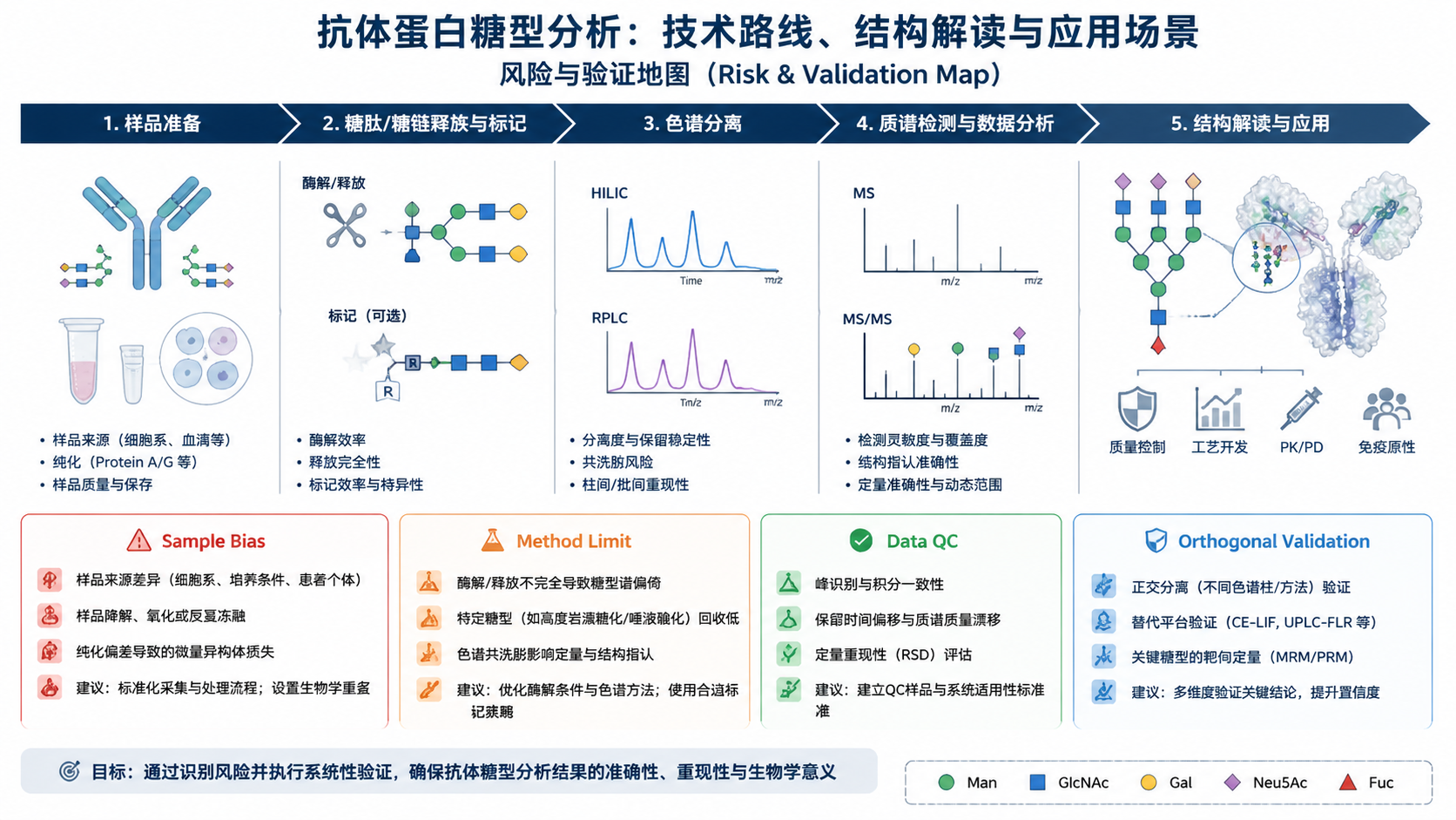Risk and validation map for 抗体蛋白糖型分析：技术路线、结构解读与应用场景 with English labels: Sample Bias, Method Limit, Data QC, Orthogonal Validation