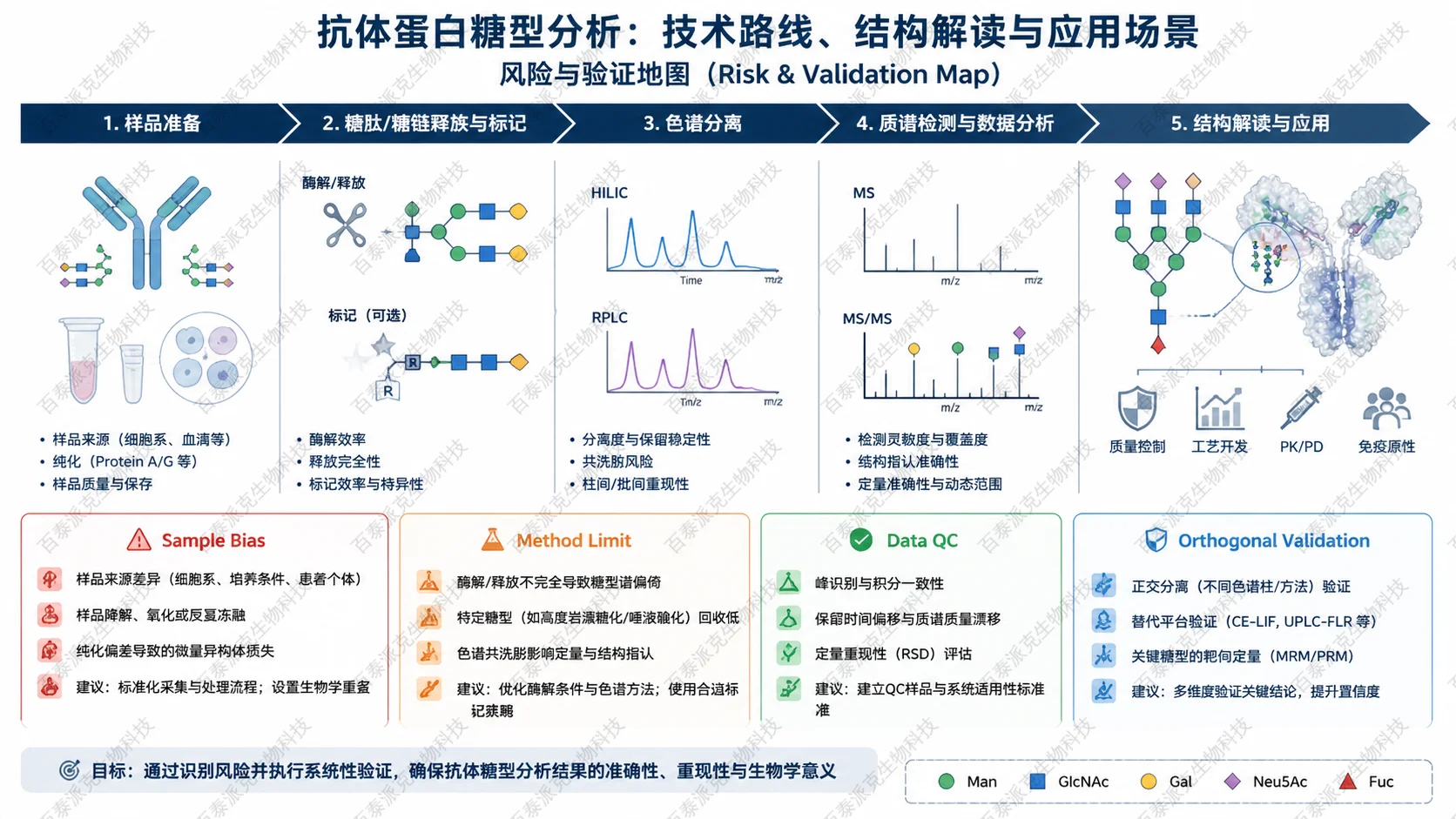 Risk and validation map for 抗体蛋白糖型分析：技术路线、结构解读与应用场景 with English labels: Sample Bias, Method Limit, Data QC, Orthogonal Validation