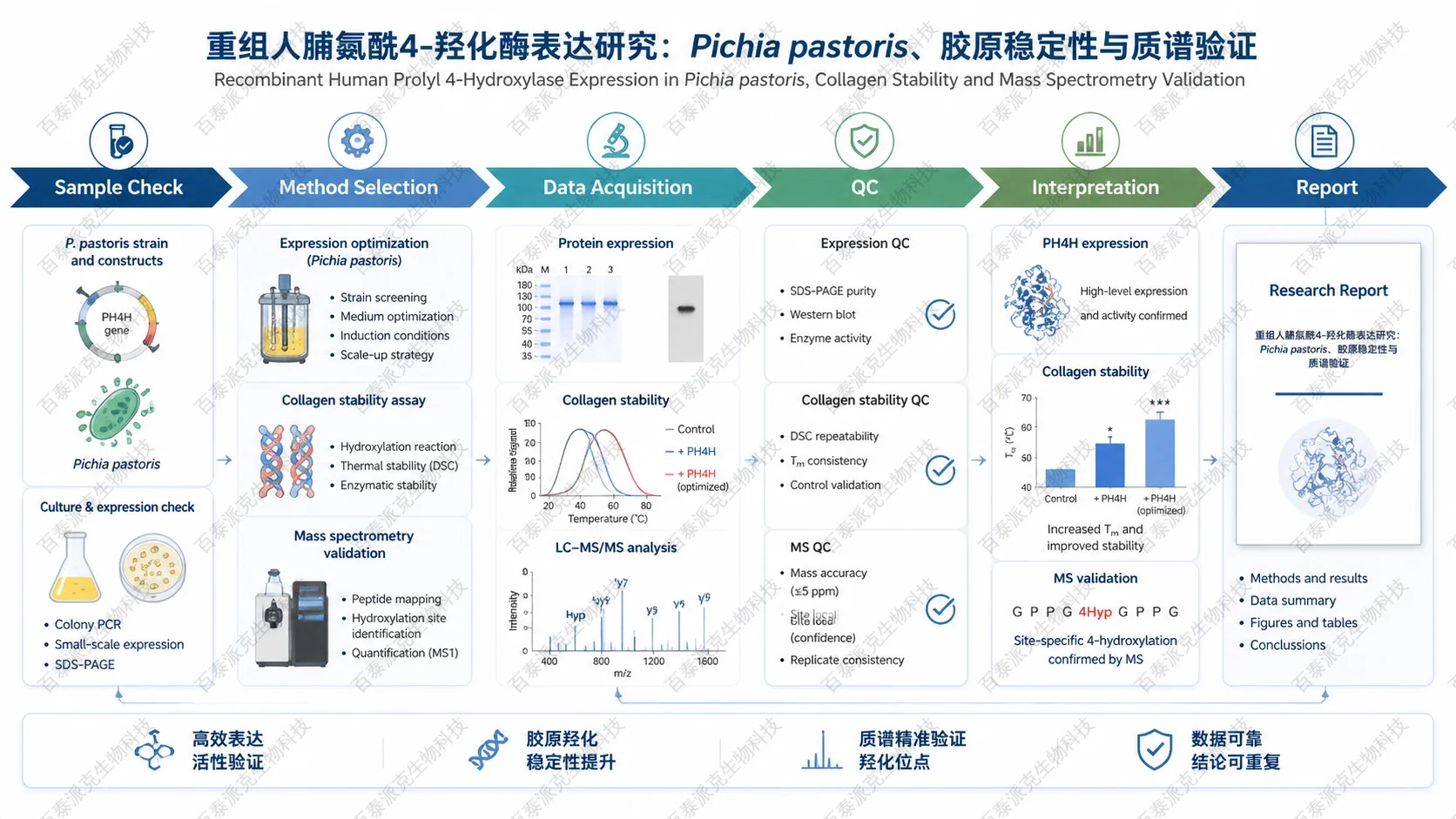 Workflow infographic for 重组人脯氨酰4-羟化酶表达研究：Pichia pastoris、胶原稳定性与质谱验证 with English labels: Sample Check, Method Selection, Data Acquisition, QC, Interpretation, Report