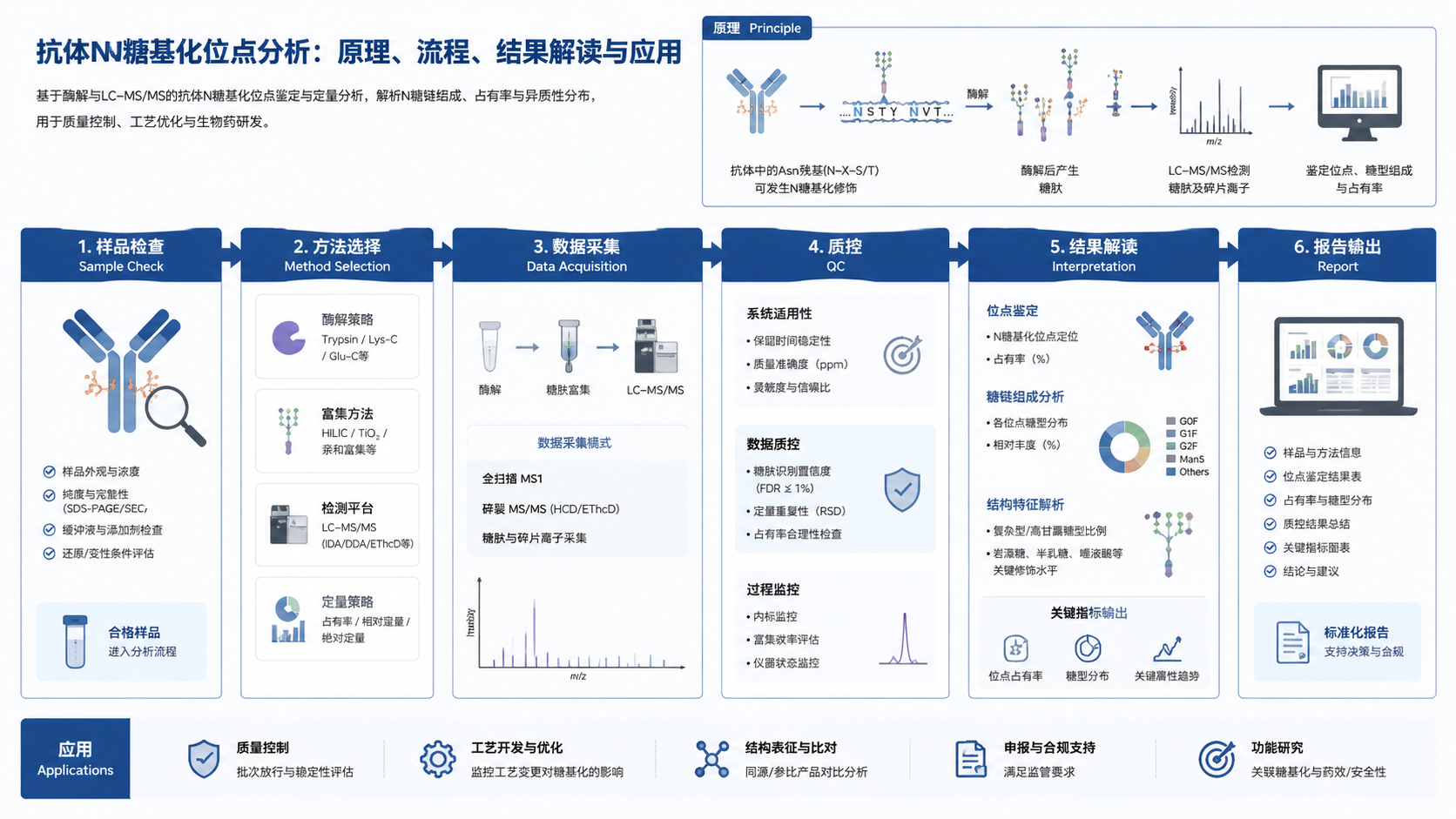 Workflow infographic for 抗体N糖基化位点分析：原理、流程、结果解读与应用 with English labels: Sample Check, Method Selection, Data Acquisition, QC, Interpretation, Report
