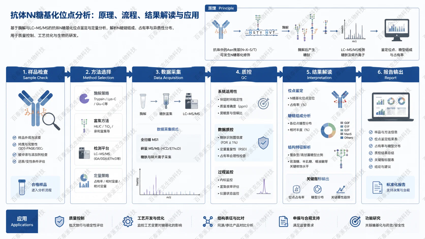 Workflow infographic for 抗体N糖基化位点分析：原理、流程、结果解读与应用 with English labels: Sample Check, Method Selection, Data Acquisition, QC, Interpretation, Report