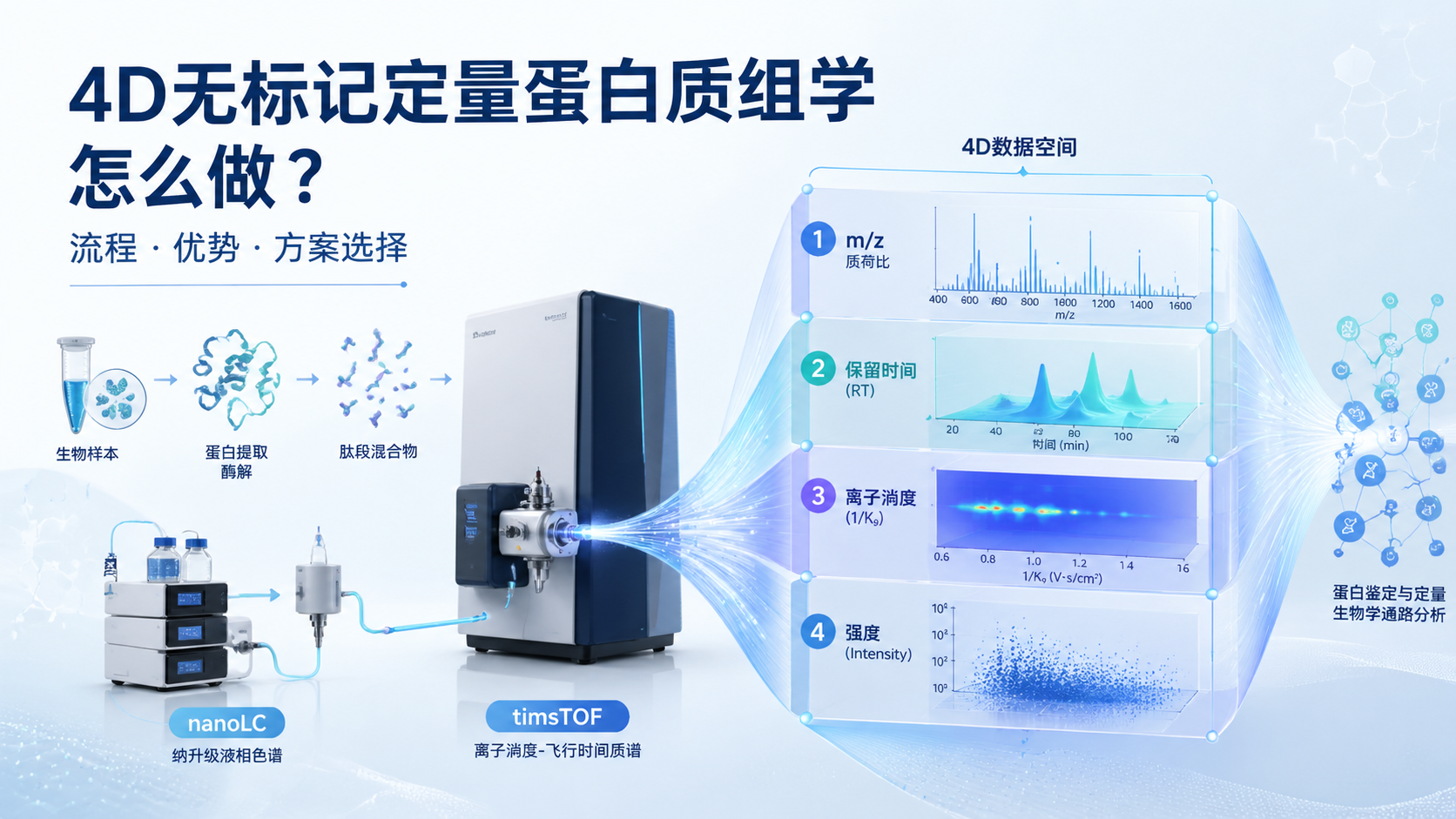 封面：4D无标记定量蛋白质组学流程与应用概念图