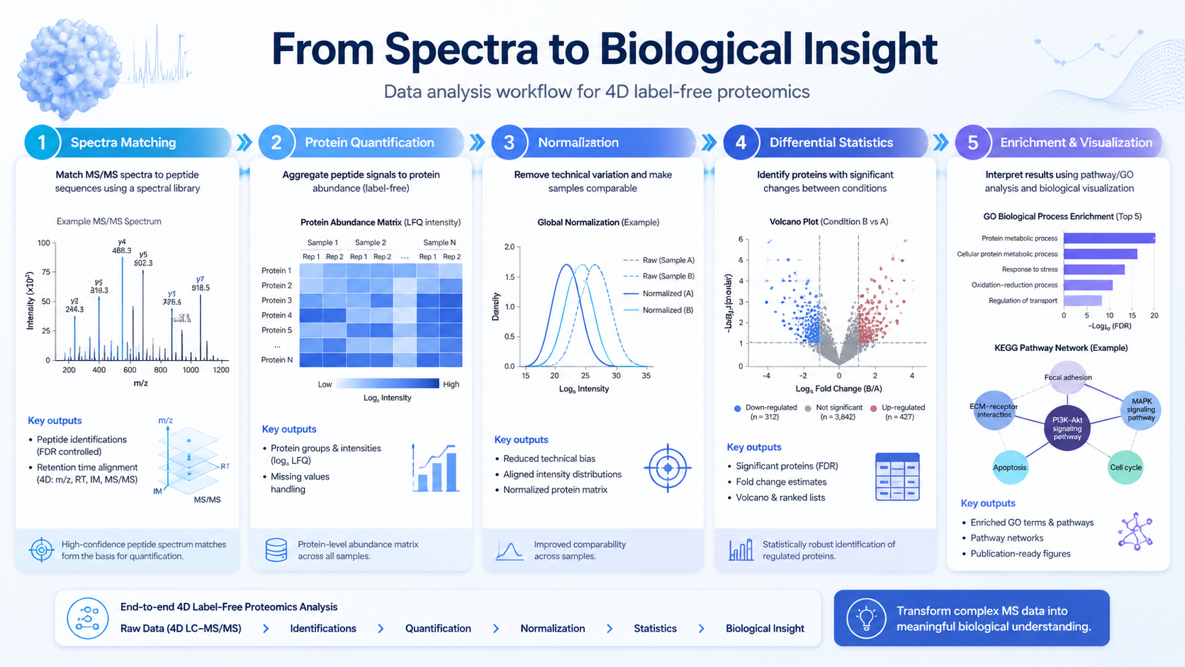 Data analysis dashboard comparing Spectronaut, DIA-NN, FragPipe, normalization, statistics, and enrichment with English labels