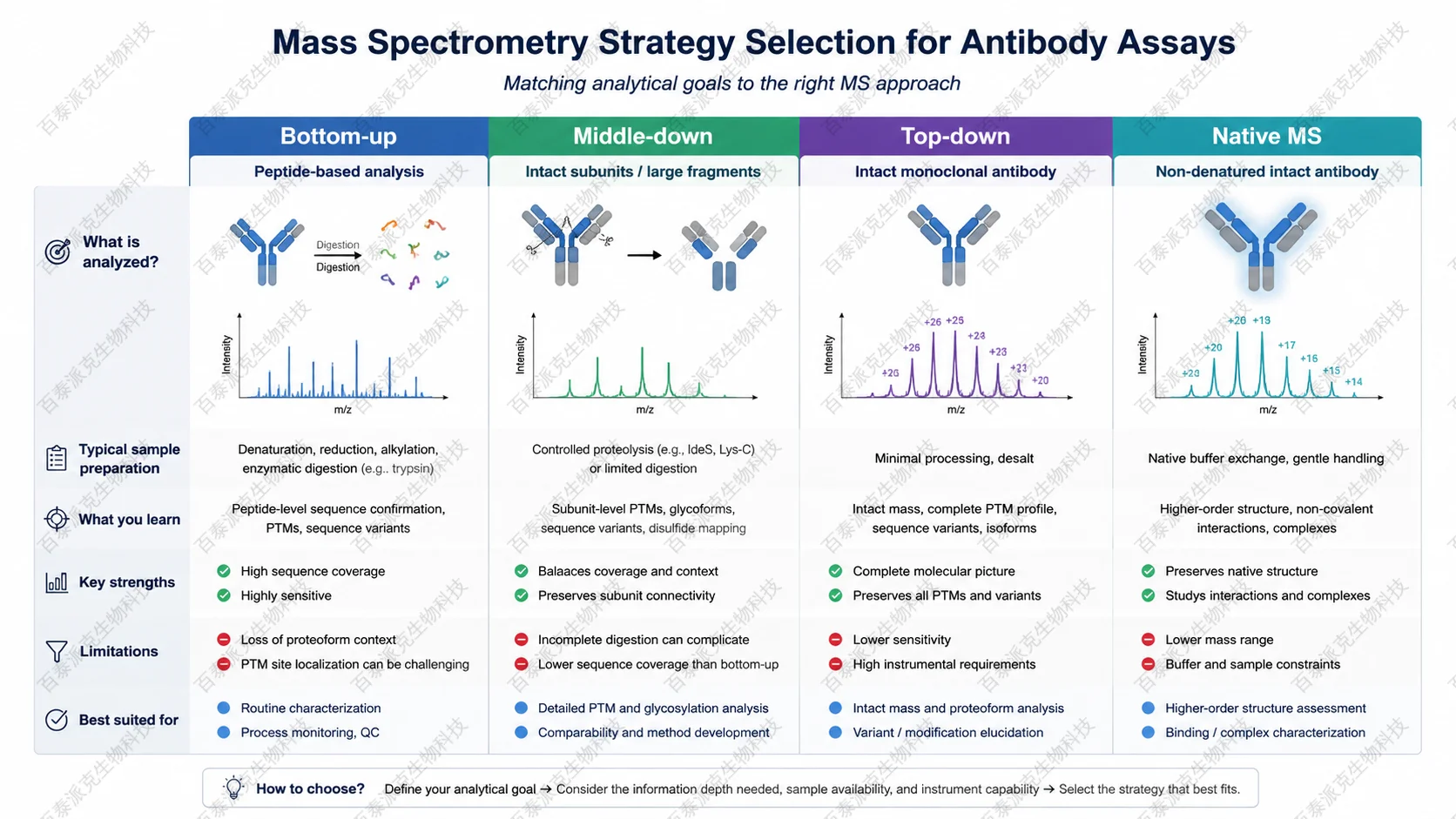 antibody-characterization-assays-guide-4