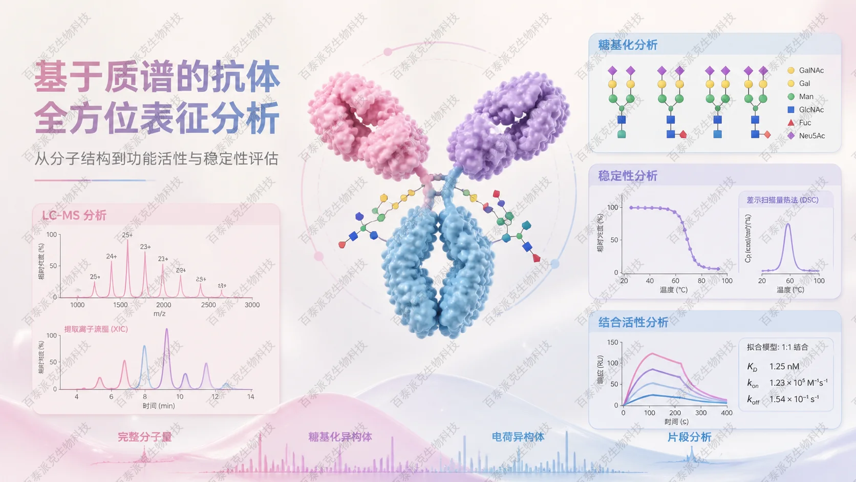 封面：抗体蛋白表征深度解析概念图
