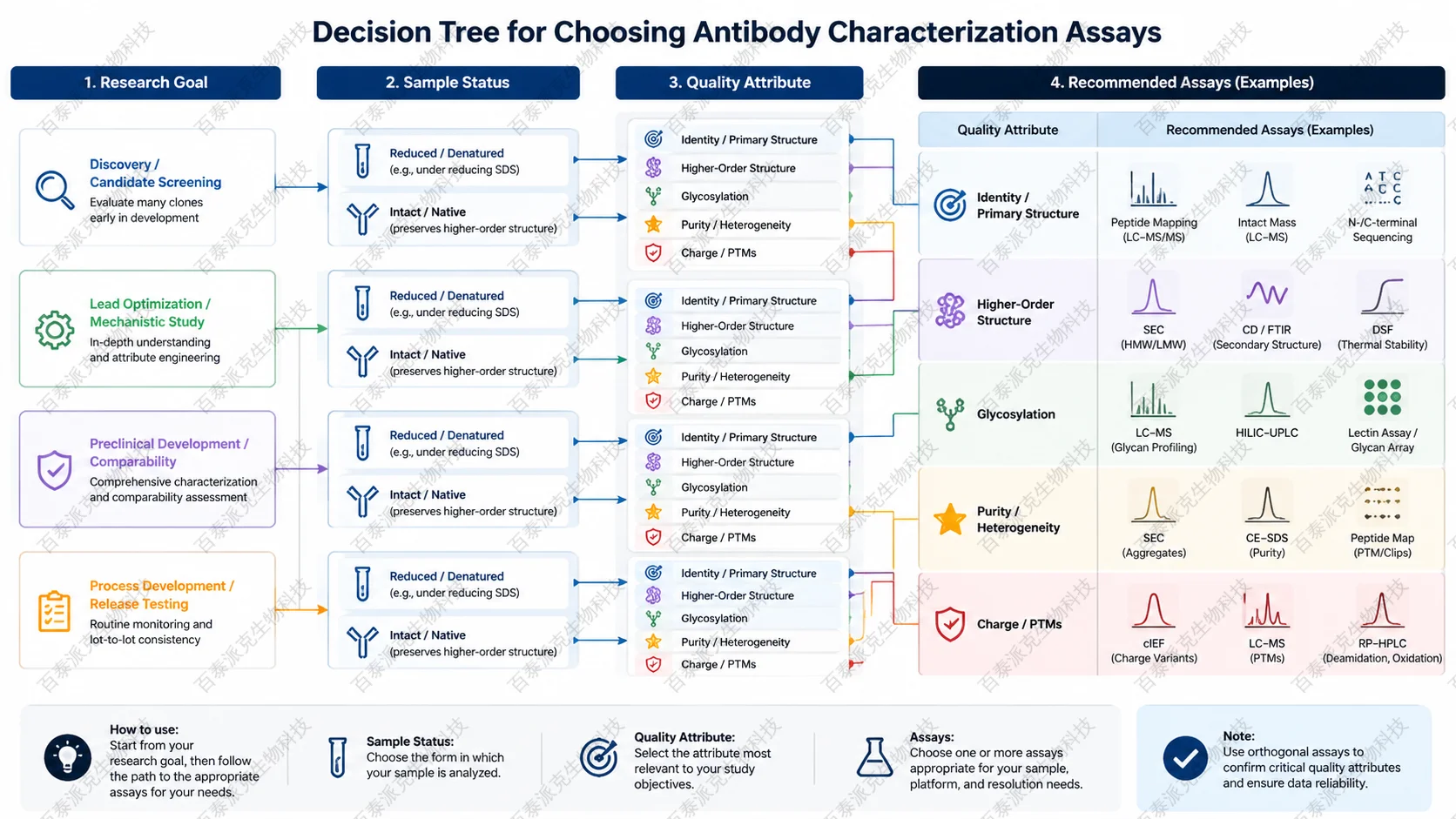 antibody-characterization-assays-guide-5
