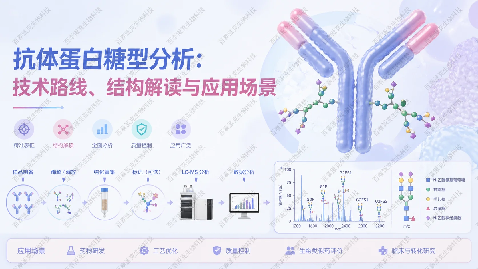 封面：抗体蛋白糖型分析：技术路线、结构解读与应用场景概念图