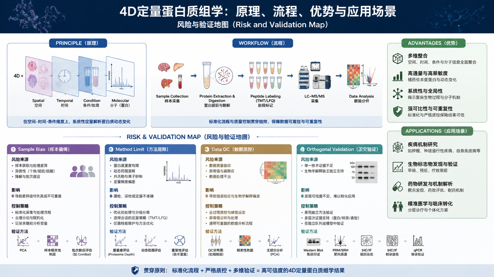 Risk and validation map for 4D定量蛋白质组学：原理、流程、优势与应用场景 with English labels: Sample Bias, Method Limit, Data QC, Orthogonal Validation